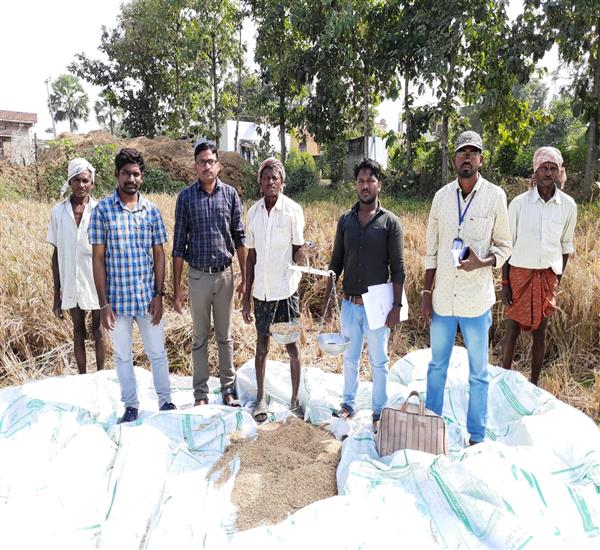 Kumuram Bheem District                                                                                                                                                                                                                                     - Crop Cutting Expts.,                                                                                                                                   - PMFBY- Kharif 2019-20, CCE-Paddy crop harvest at Dahegaon village and Mandal supervised by Div.Dy.SO- Raj Kumar, MPSO- Ch Naresh, Insurance agent and AEO.
                                                                                                     - dt.07/12/2019          